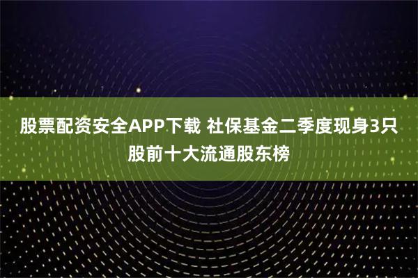 股票配资安全APP下载 社保基金二季度现身3只股前十大流通股东榜