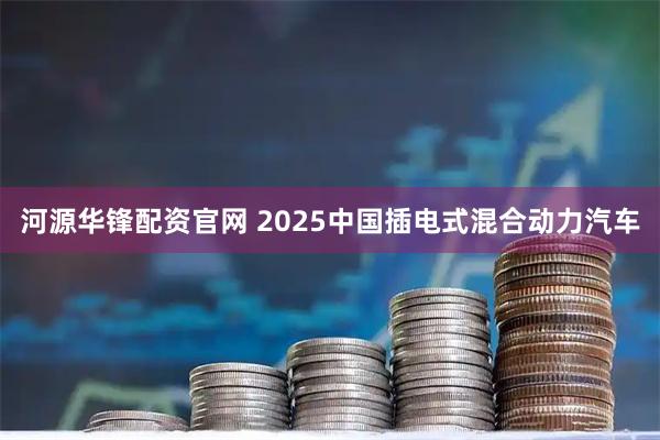 河源华锋配资官网 2025中国插电式混合动力汽车