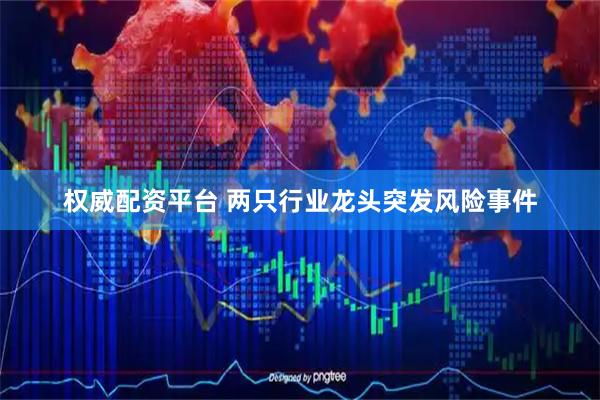 权威配资平台 两只行业龙头突发风险事件